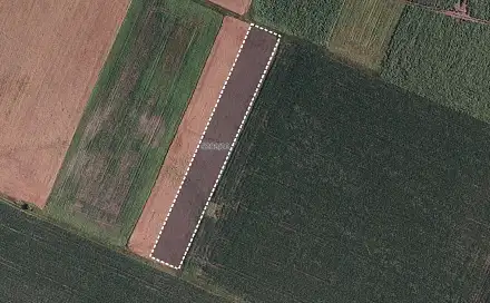 Prodej pole 3 161 m², Novosedly, okres Břeclav