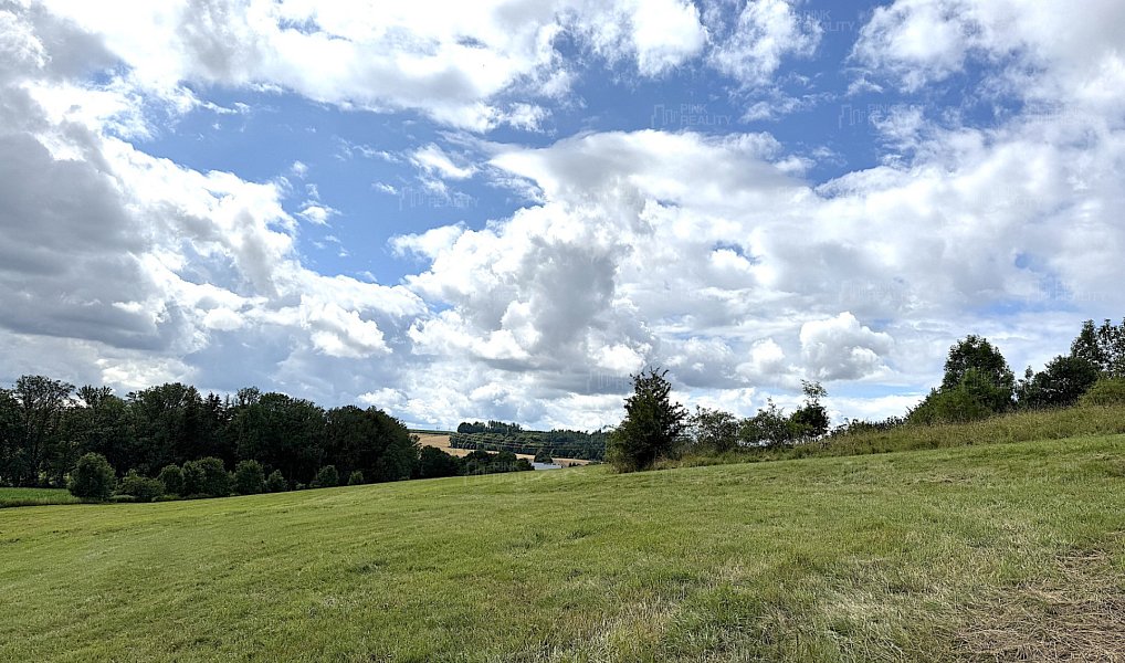 Prodej louky 16 663 m², Rychnov nad Kněžnou – náhled fotky 9