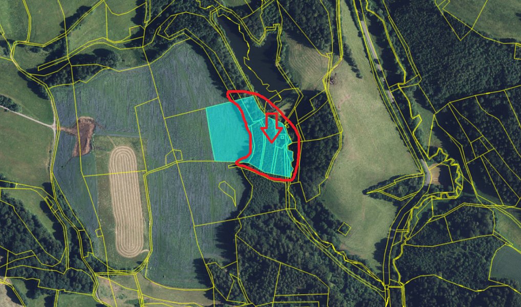Prodej lesa 10 342 m², Jedlí – náhled fotky 2