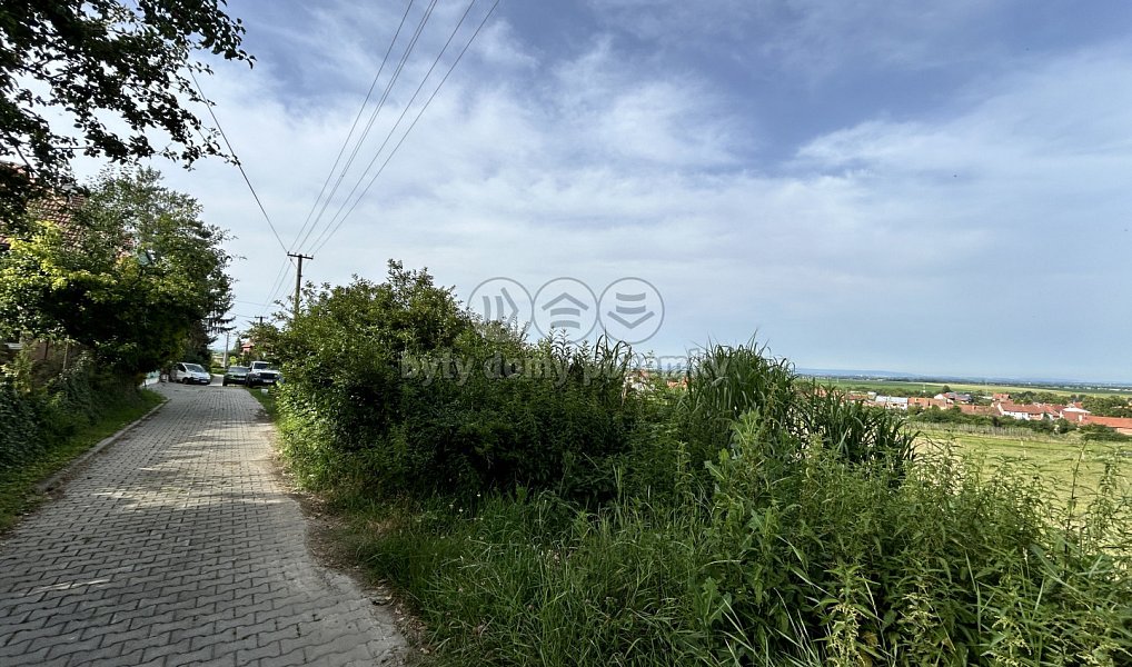 Prodej stavebního pozemku 3 897 m², Dětkovice – náhled fotky 9
