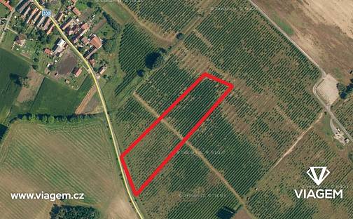 Prodej zahrady 2 981 m², Horušice, okres Kutná Hora