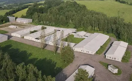 Prodej výrobních prostor 44 000 m², Benešov nad Černou, okres Český Krumlov