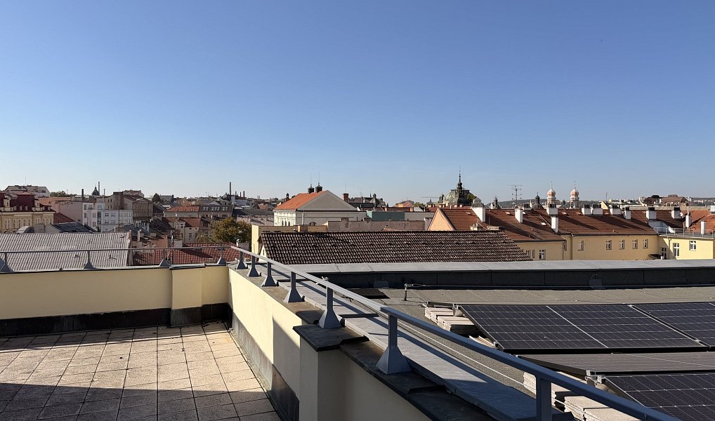 Pronájem bytu 1+1 34 m², Plzeň – náhled fotky 4