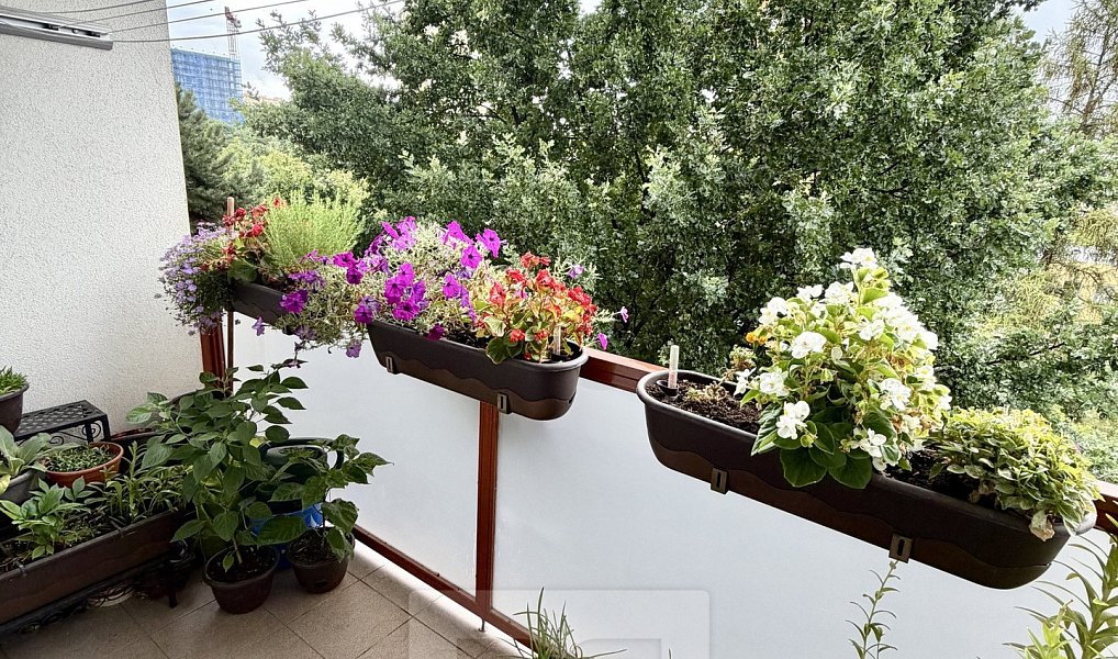 Prodej bytu 4+1, 85 m², Kamýk - Praha 12, Praha