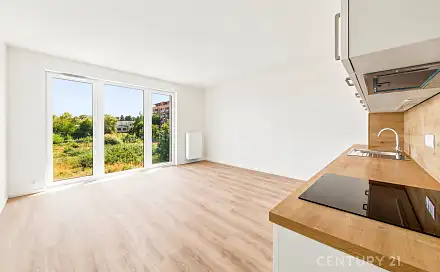 Pronájem bytu 2+kk 54 m²