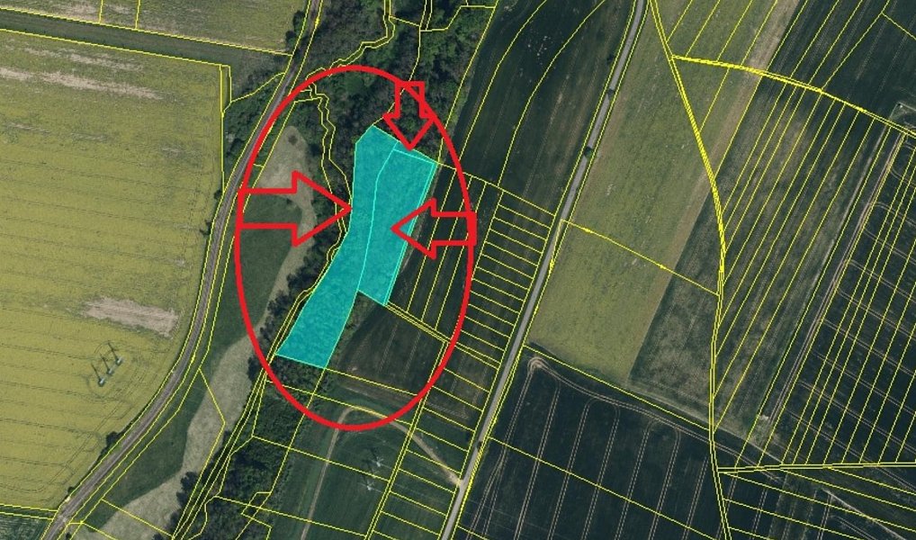 Prodej lesa 12 606 m², Jeníkovice – náhled fotky 15