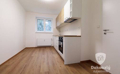Pronájem bytu 2+1 50 m², třída Legií, Kralupy nad Vltavou - Lobeček, okres Mělník