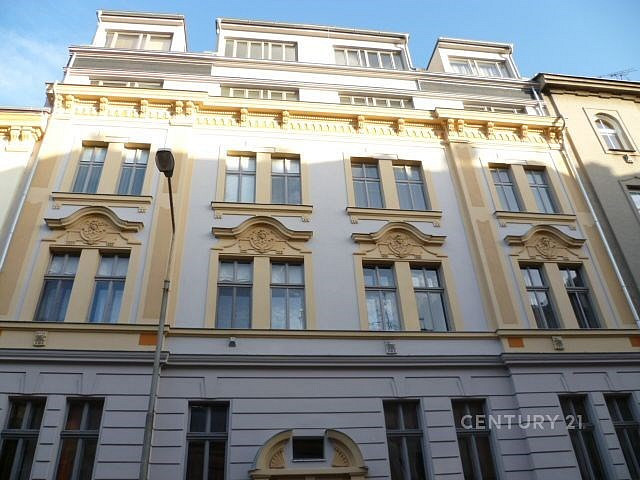 Pronájem bytu 1+1 57 m² - Widok 3