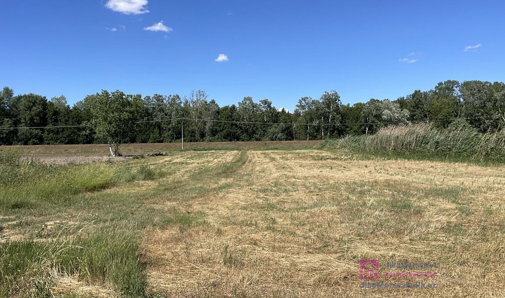 Prodej komerčního pozemku 4 463 m², Břeclav – náhled fotky 11