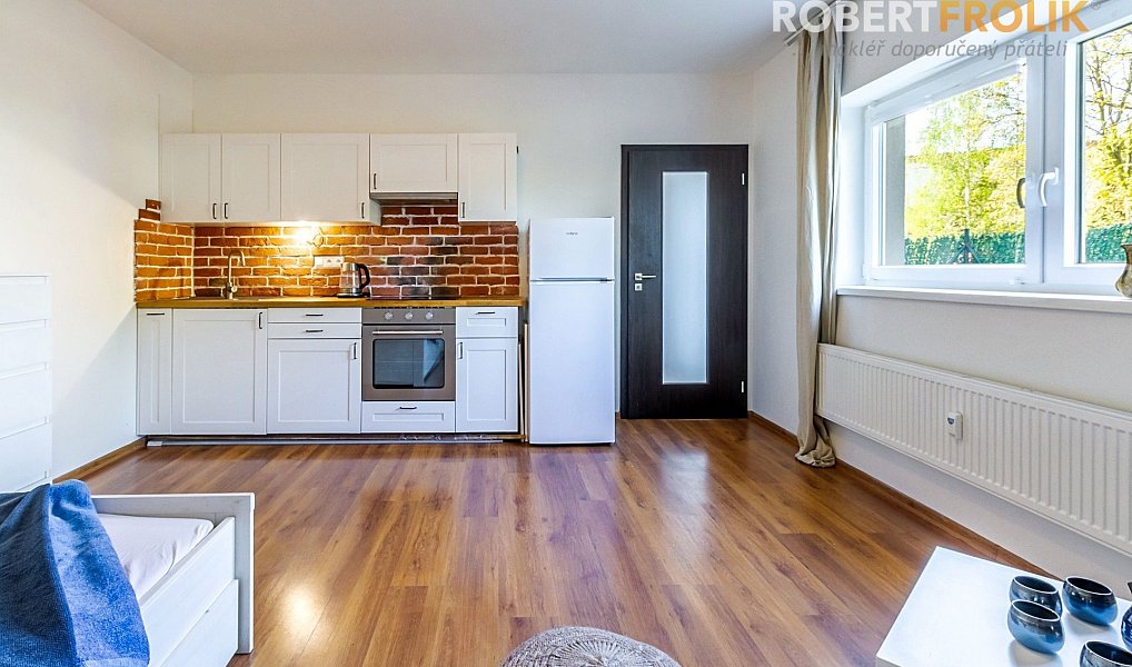 Pronájem bytu 1+kk 30 m², Svémyslice – fotka 1 z 18