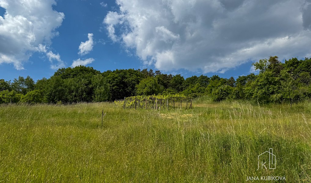 Prodej stavebního pozemku 2 455 m², Vřesovice – náhled fotky 14