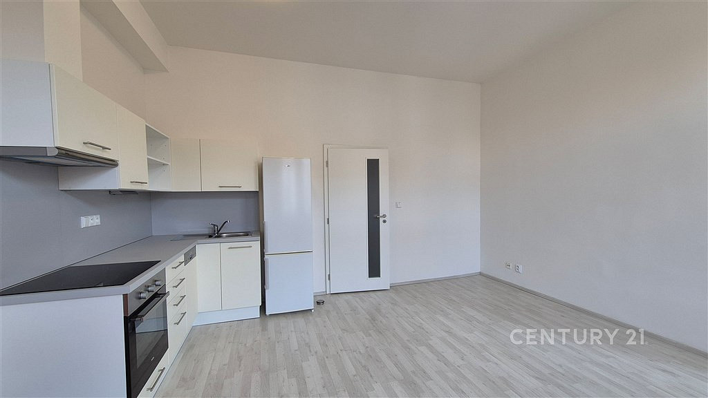 Pronájem bytu 1+1 57 m² - Widok 2