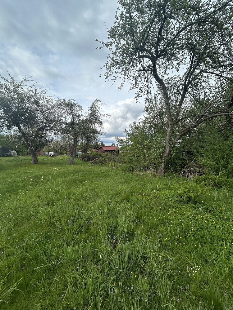 Fotka 6 z 11