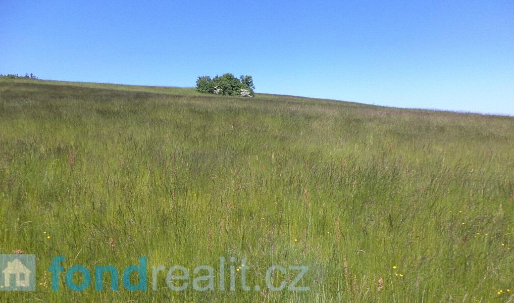 Prodej pole 50 580 m², Staré Křečany – náhled fotky 10