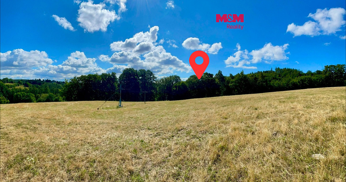 Prodej lesa 5 050 m²