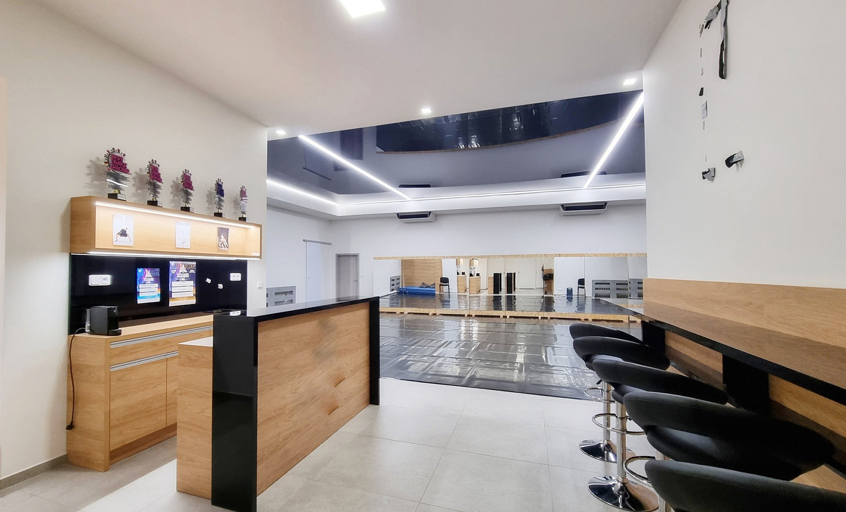 Pronájem komerčního objektu (jiného typu) 233 m²