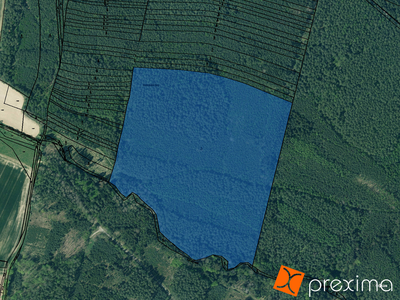 Prodej lesa 15 173 m²