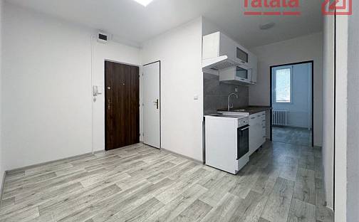 Pronájem bytu 2+1 63 m², Chomutov