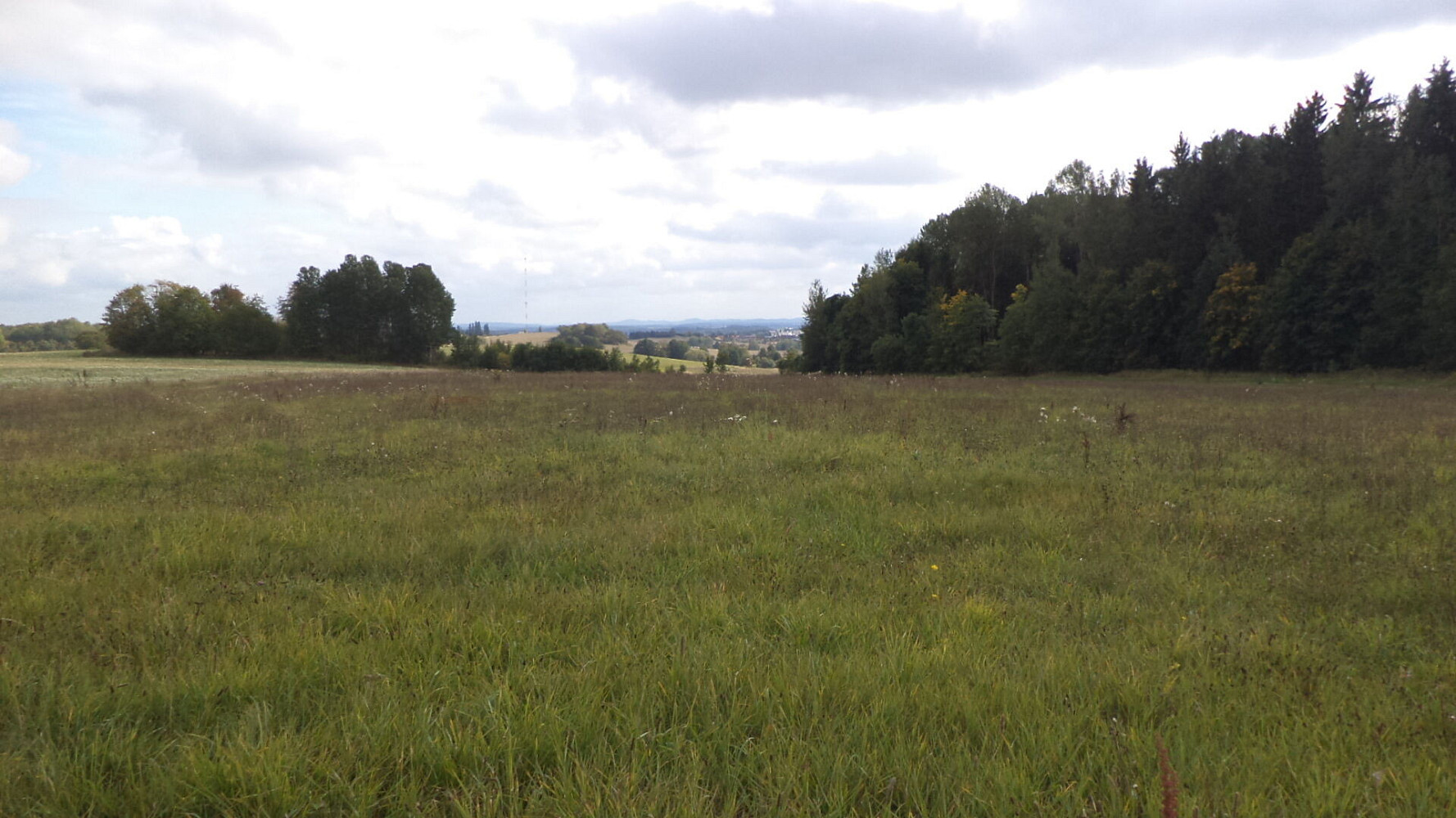 Prodej pole 5 912 m² – fotografie 3