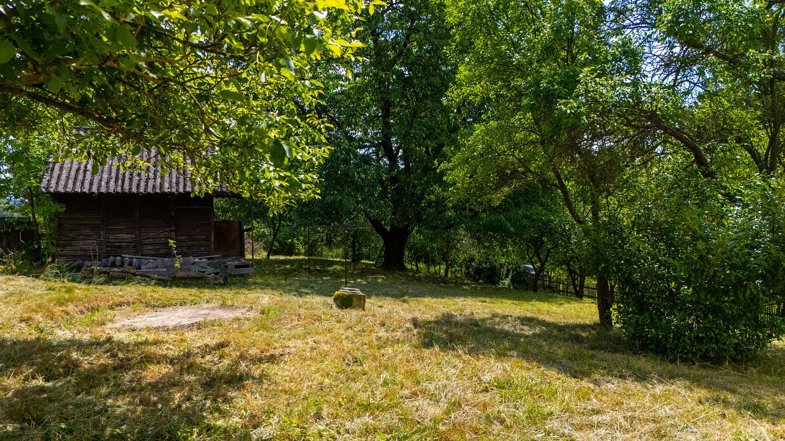 Fotka 6 z 12