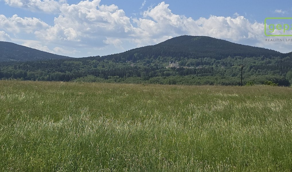 Prodej stavebního pozemku 7 197 m², Horní Stropnice – náhled fotky 4