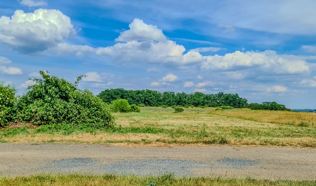 Prodej stavebního pozemku 1 189 m², Horní Beřkovice – náhled fotky 6