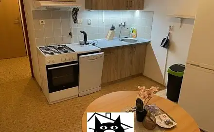 Pronájem bytu 1+1 44 m², Čechovská, Příbram - Příbram VIII