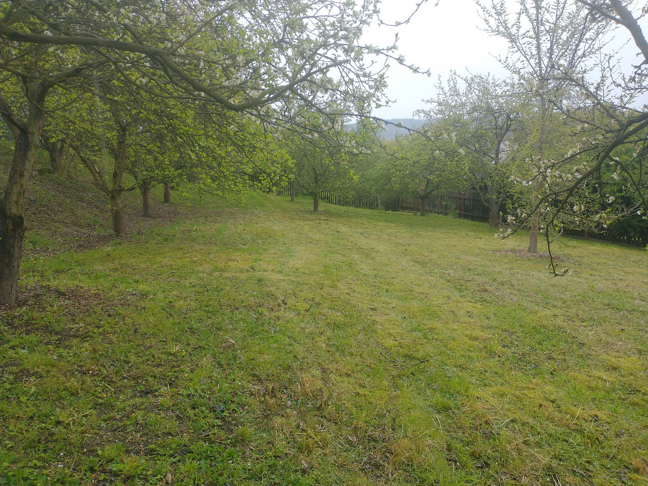 Prodej stavebního pozemku 1 252 m² — photo 3