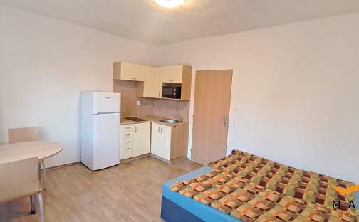 Pronájem bytu 1+kk 25 m², Jindřichova, Ostrava - Moravská Ostrava