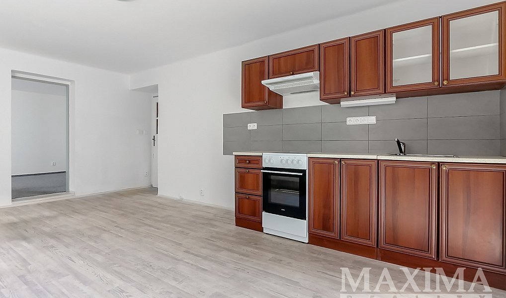 Pronájem bytu 1+1 50 m², Praha – náhled fotky 2