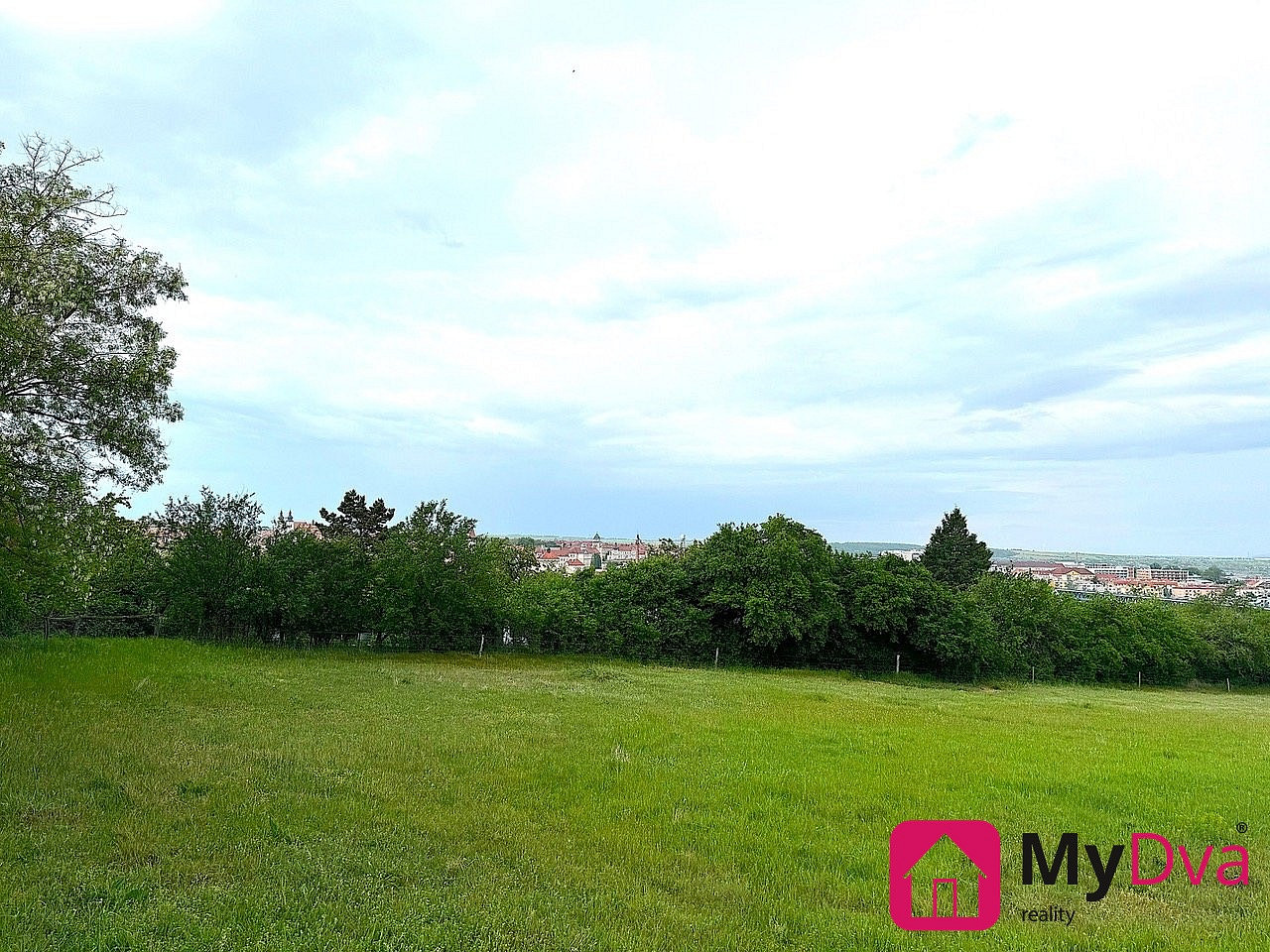 Prodej pole 7 045 m² – fotografie 4