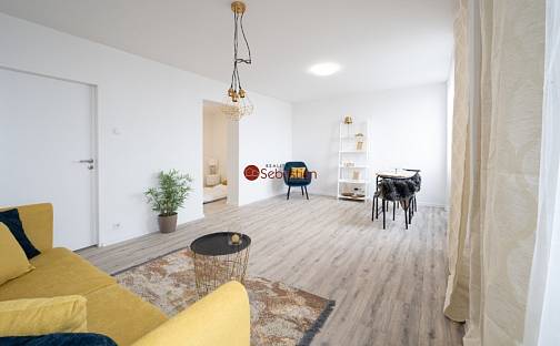 Pronájem bytu 2+1 39 m², Antonína Sochora, Teplice - Trnovany