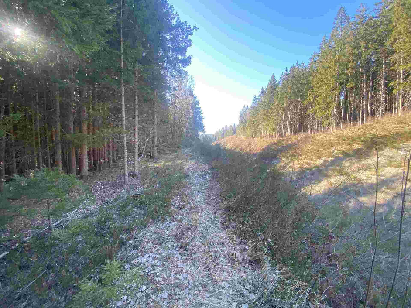 Prodej pole 1 644 m² – fotografie 4
