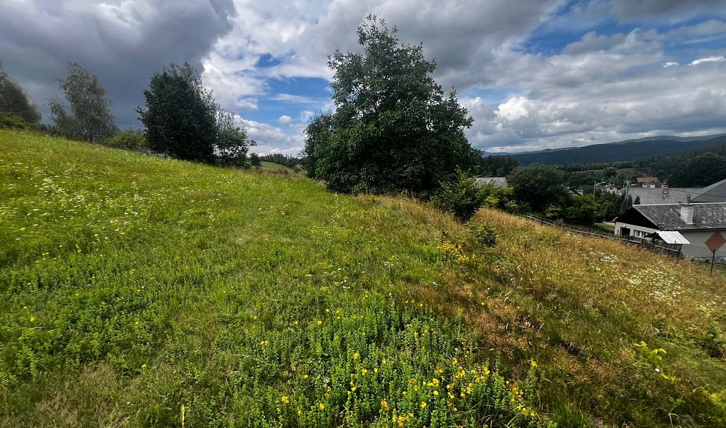 Prodej stavebního pozemku 6 000 m², Ruda nad Moravou – náhled fotky 6