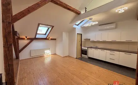 Pronájem bytu 2+kk 67 m², Mánesova, Opava - Předměstí