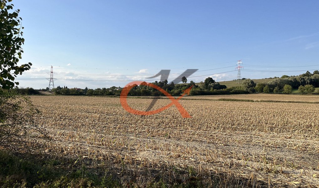 Prodej pole 4 766 m², Lešná – náhled fotky 5