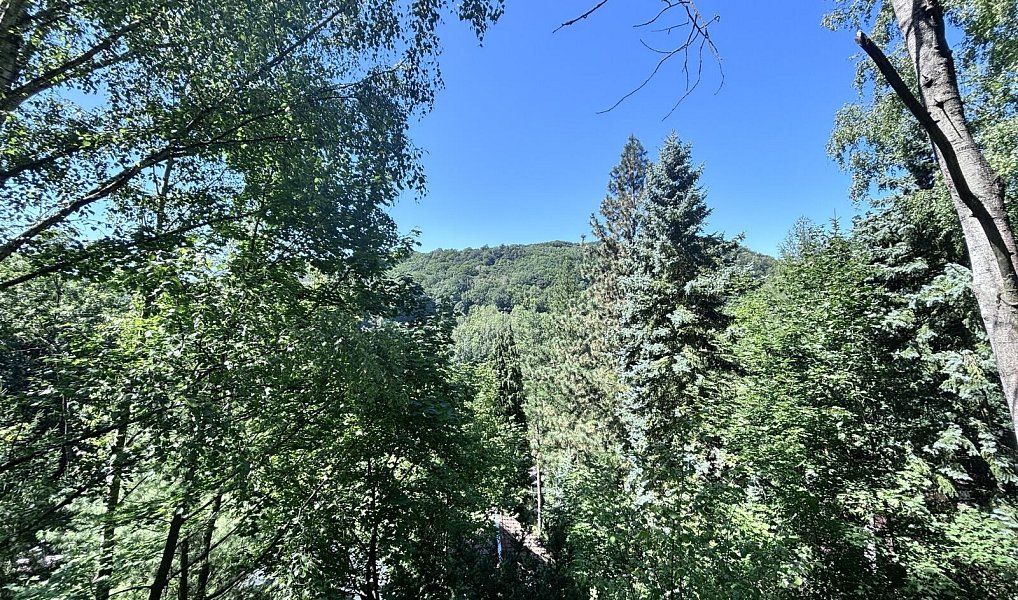 Prodej chaty/chalupy 46 m² s pozemkem 407 m², Povrly – náhled fotky 17