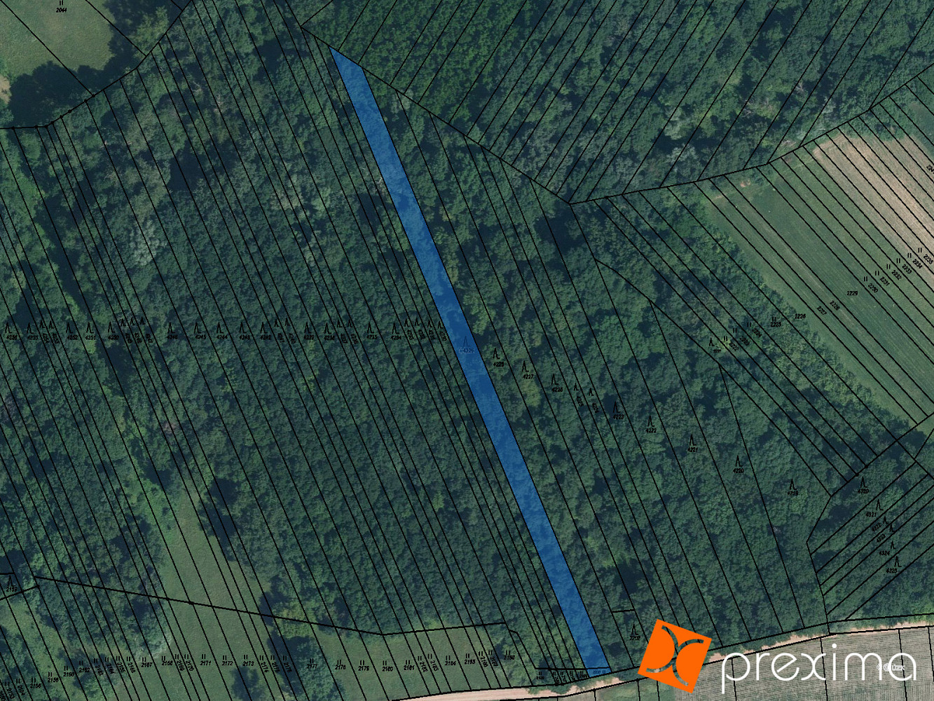 Prodej lesa 2 484 m²