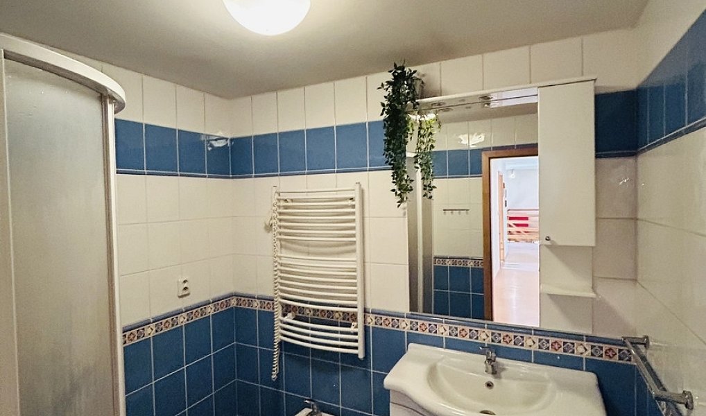 Prodej domu 347 m² s pozemkem 2 048 m², Radslavice – náhled fotky 22