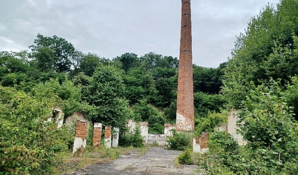 Prodej stavebního pozemku 15 718 m², Napajedla – náhled fotky 4