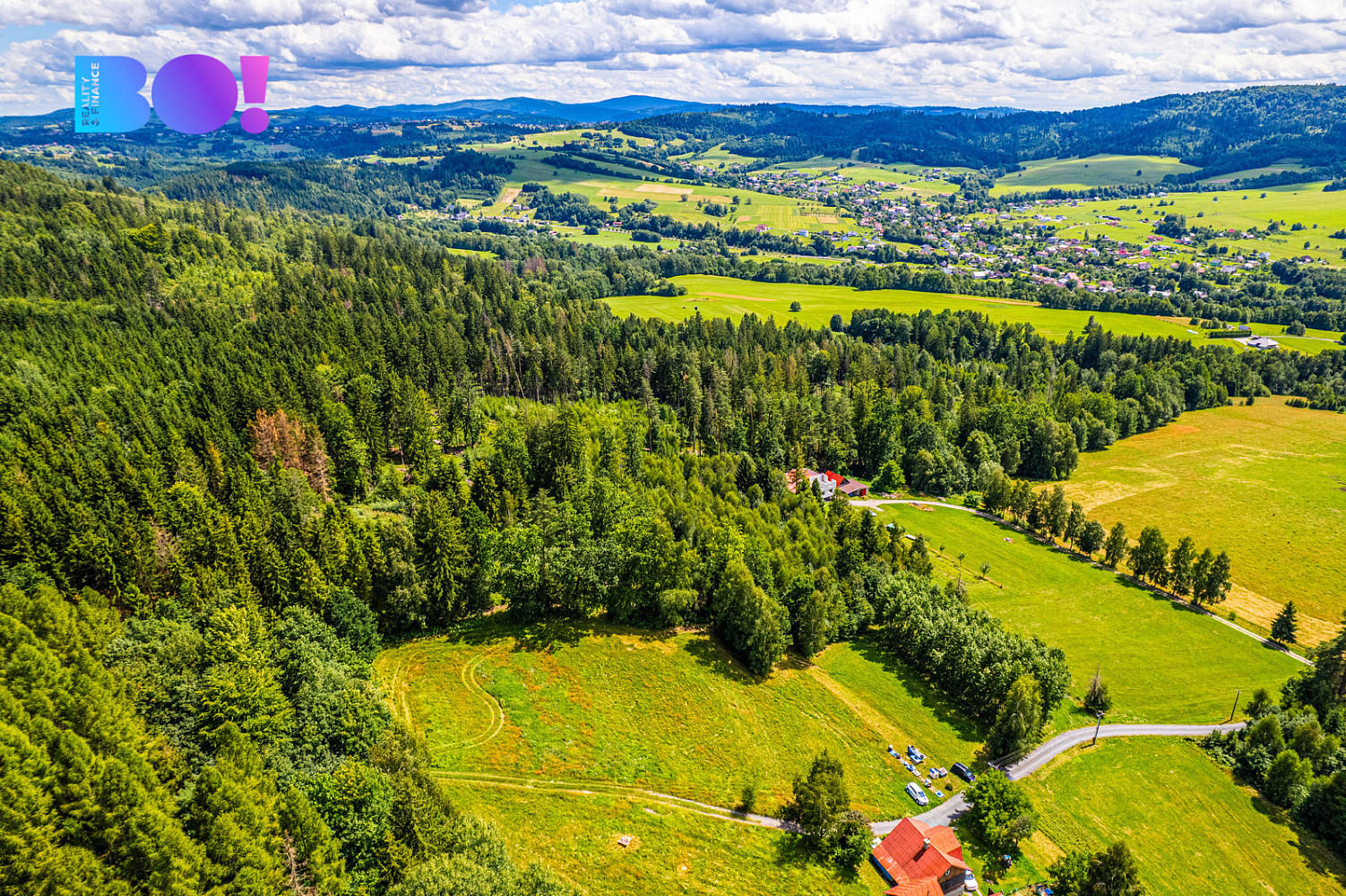 Prodej lesa 12 430 m² – fotografie 3