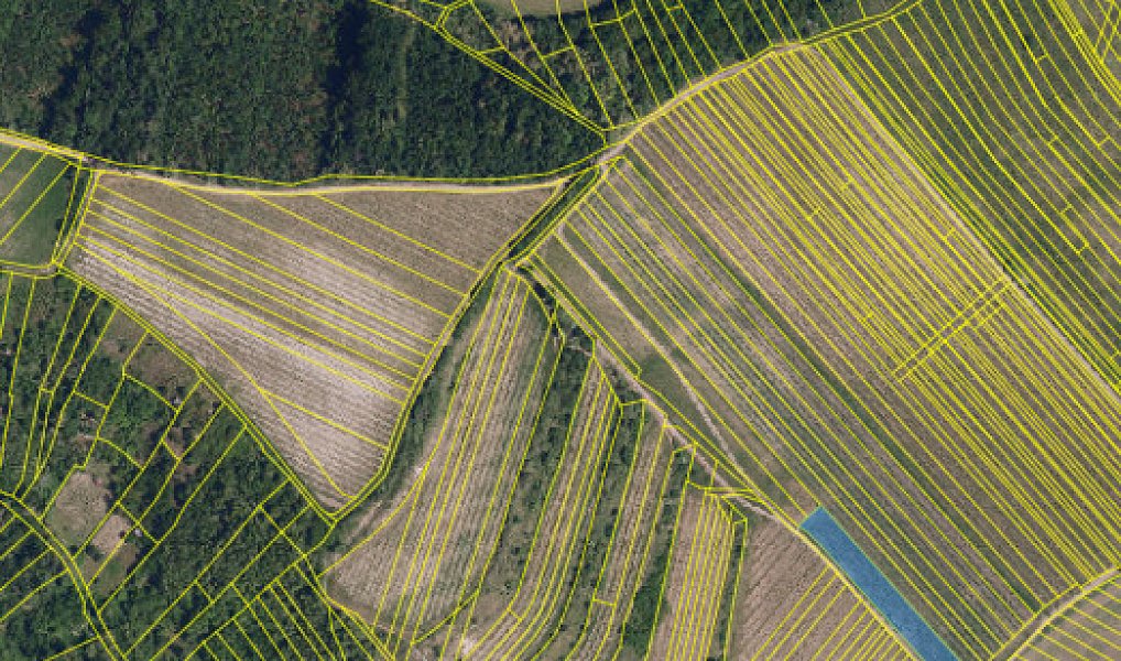 Prodej pole 2 899 m², Brumovice – náhled fotky 2