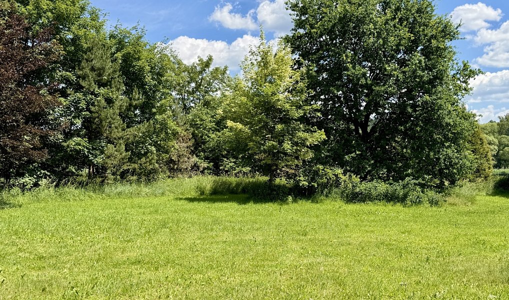 Prodej zemědělského objektu 421 m², Týnec nad Sázavou – náhled fotky 35