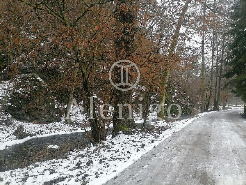 Prodej zahrady 342 m² – fotografie 5