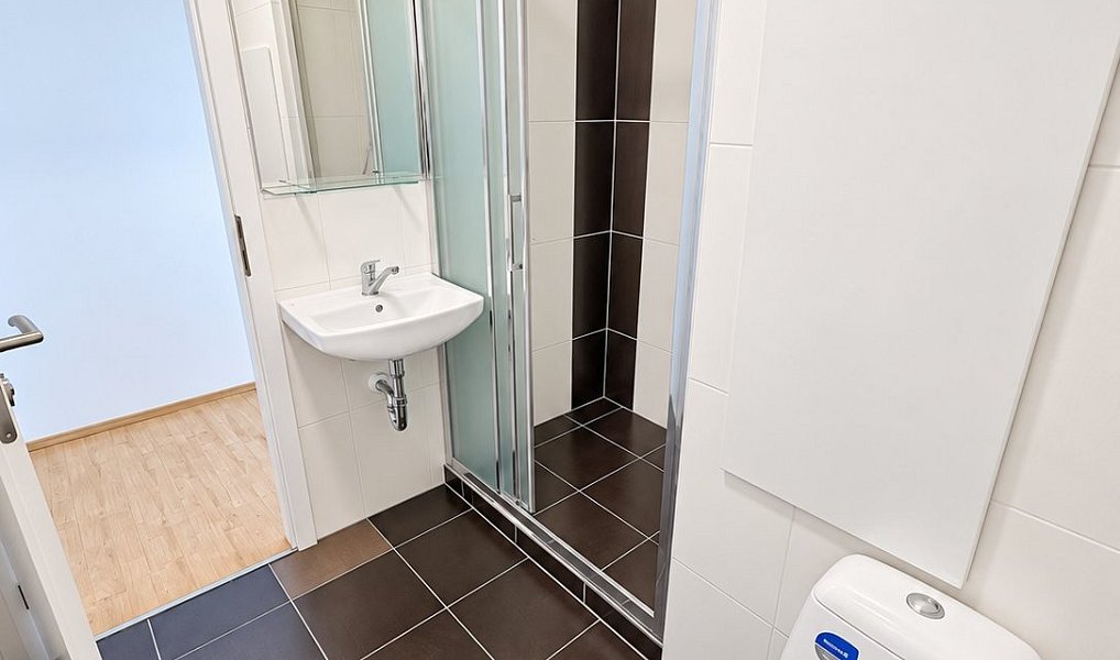 Prodej bytu 2+kk 32 m², Brno – náhled fotky 11