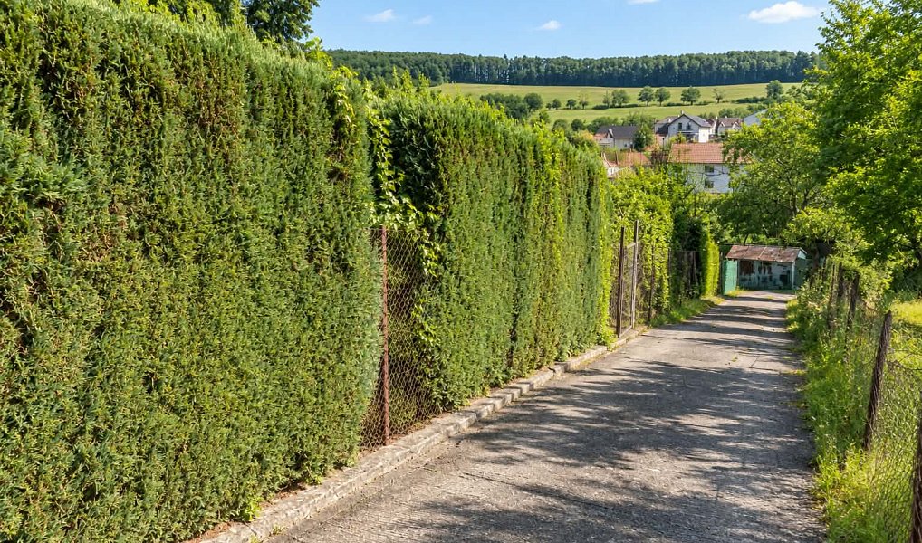 Prodej domu 42 m² s pozemkem 297 m², Zlín – náhled fotky 9