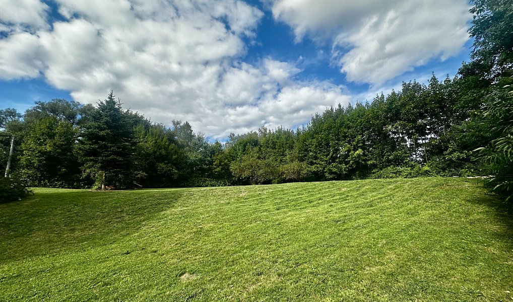 Prodej domu 250 m² s pozemkem 1 993 m², Sadov – náhled fotky 16