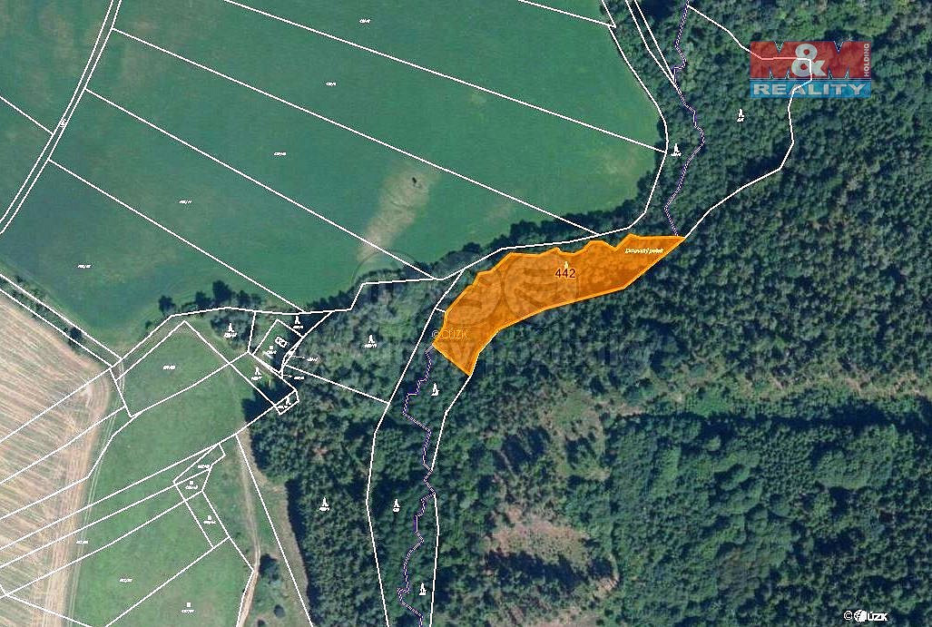 Prodej lesa 4 280 m²