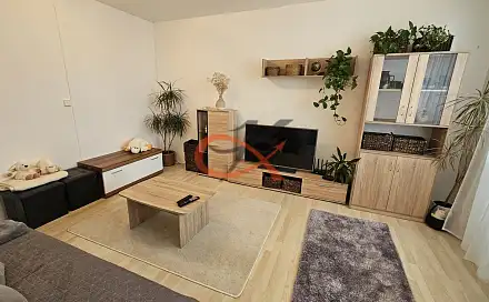 Pronájem bytu 3+1 64 m², Svazarmovská, Rožnov pod Radhoštěm, okres Vsetín