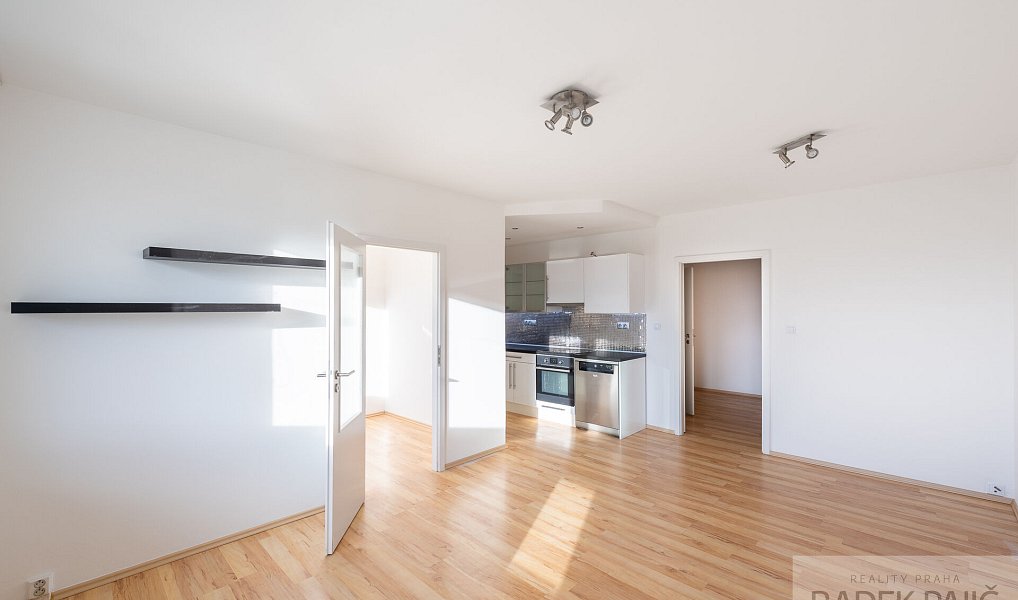 Pronájem bytu 1+1 48 m², Praha – náhled fotky 4
